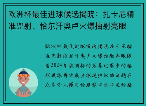 欧洲杯最佳进球候选揭晓:扎卡尼精准兜射、恰尔汗奥卢火爆抽射亮眼