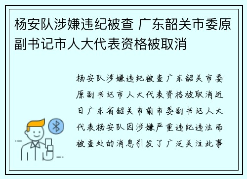 杨安队涉嫌违纪被查 广东韶关市委原副书记市人大代表资格被取消